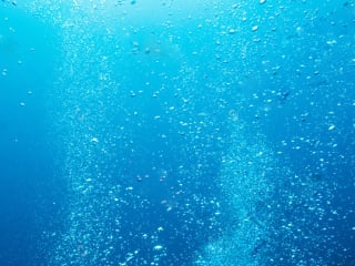 浄化槽の詰まりの対処法 散気管の目詰まりが起こる理由と予防策は