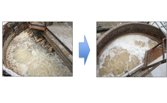 惣菜工場の排水処理場改善①