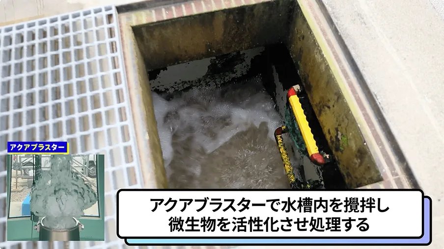 アクアブラスターで水槽内を撹拌し、微生物を活性化させ処理する