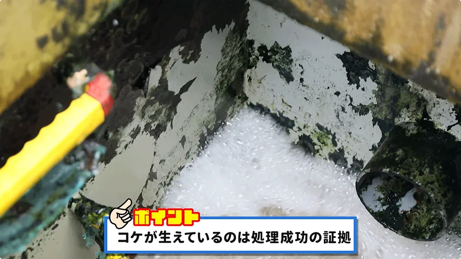 コケが生えているのは処理成功の証拠