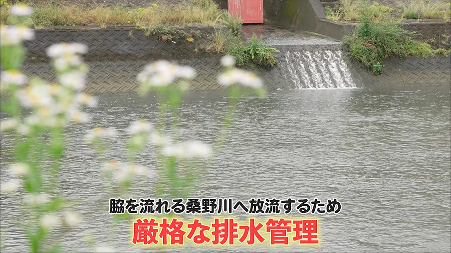 脇を流れる桑野川に放流するため厳格な排水管理