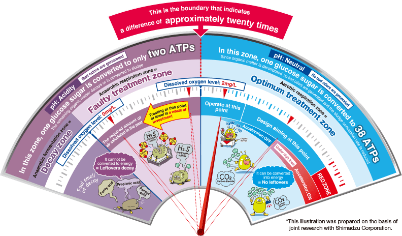 Difference in metabolism and types of microorganisms