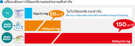 เปรียบเทียบการใช้ออกซิเจนต่อประมาณที่เท่ากัน