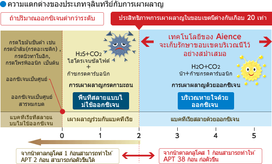 ความแตกต่างของประเภทจุลินทรีย์กับการเผาผลาญ ประสิทธิภาพการเผาผลาญในขอบเขตนี้ต่างกันเกือบ 20 เท่า