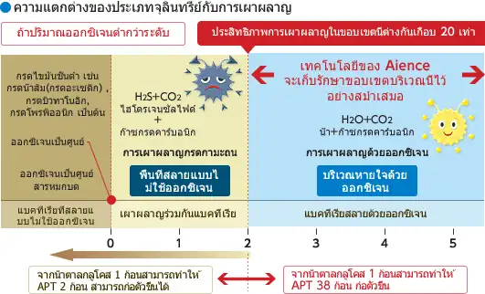 ความแตกต่างของประเภทจุลินทรีย์กับการเผาผลาญ ประสิทธิภาพการเผาผลาญในขอบเขตนี้ต่างกันเกือบ 20 เท่า