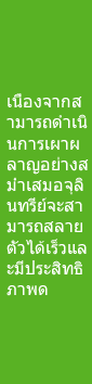 เนื่องจากสามารถดำเนินการเผาผลาญอย่างสม่ำเสมอจุลินทรีย์จะสามารถสลายตัวได้เร็วและมีประสิทธิภาพด