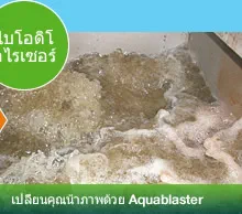 ไบโอดิโ อไรเซอร์ - เปลี่ยนคุณน้ำภาพด้วย Aquablaster